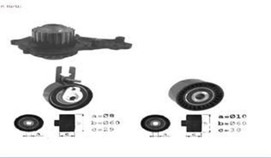 Devirdaimli Eksantrik Gergi Kiti 144x254 Peugeot 206-Peugeot 307-Bipper-C1-C2-C3 resmi