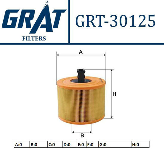 Hava Fıltresı ( Bmw : 130i 05-12 125i 07- / 323i-325i-330i 06- ) resmi